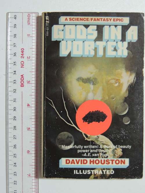 Gods in a Vortex - David Houston