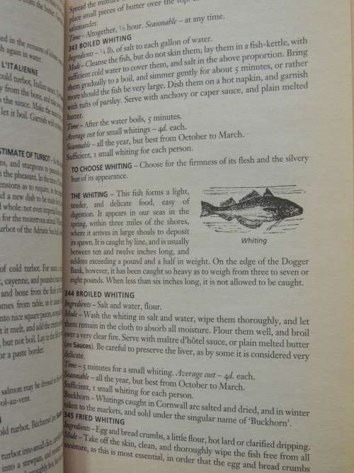 Mrs Beeton`s Household Management - A Classic of Domestic Literature - Isabella Beeton