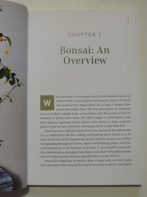 Bountiful Bonsai  - Create Instant Indoor Container Gardens with Edible Fruits, Herbs & FlowersRich