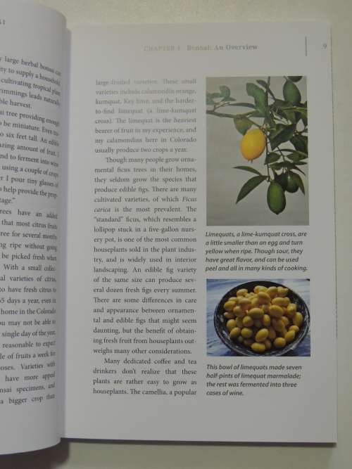 Bountiful Bonsai  - Create Instant Indoor Container Gardens with Edible Fruits, Herbs & FlowersRich
