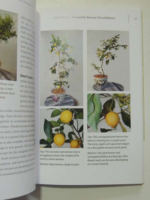 Bountiful Bonsai  - Create Instant Indoor Container Gardens with Edible Fruits, Herbs & FlowersRich