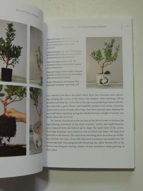 Bountiful Bonsai  - Create Instant Indoor Container Gardens with Edible Fruits, Herbs & FlowersRich