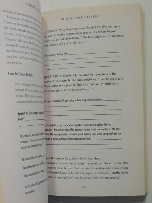 Steering by Starlight - How to Fulfill your Destiny no Matter What? - Martha Beck