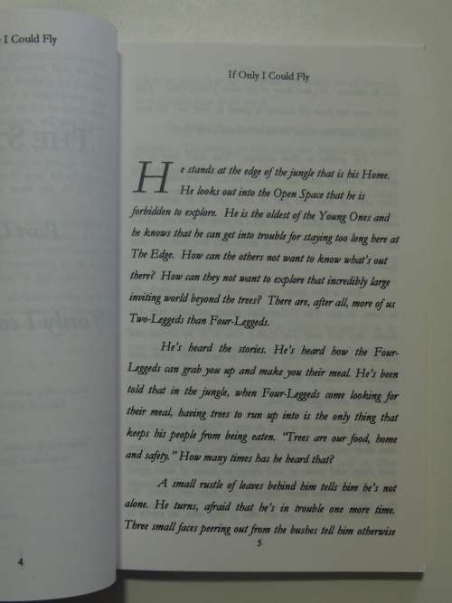 Teaching Monkey To Fly - A Step By Step Guide To Self-Empowerment - Jann Weiss