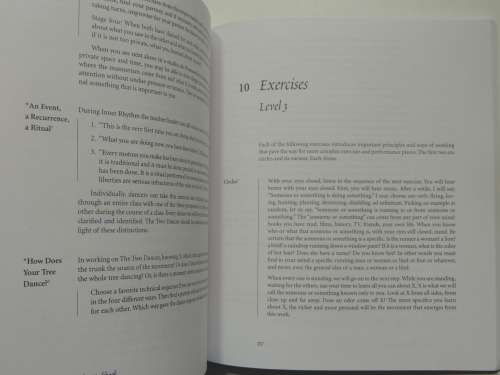 The Six Questions - Acting Technique for Dance Performance  - David Nagrin DRAMA BOOK