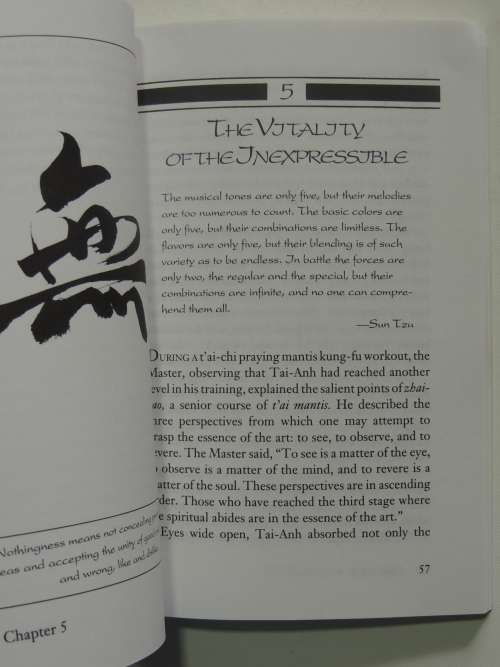 Beyond The Known - The Ultimate Goal of the Martial Arts - Tri Thong Dang