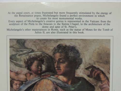 Michaelangelo in the Vatican- Lucia Cecchi, Lutz Heusinger, Fabrzio Mancinelli