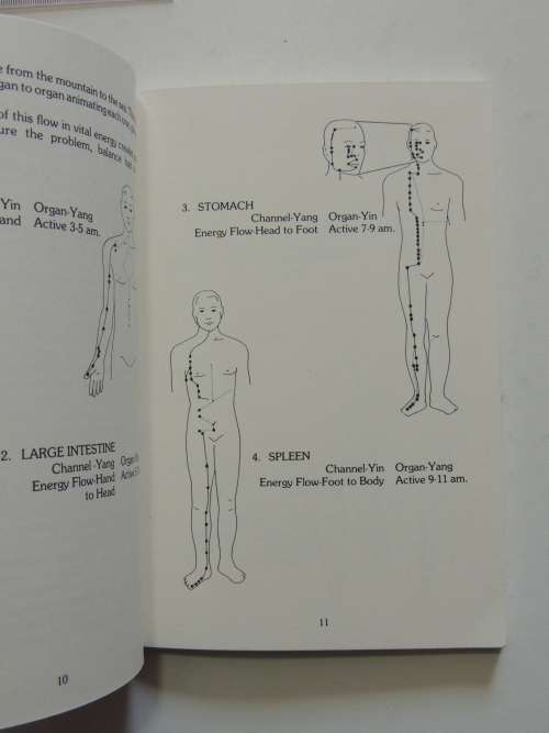 A Beginner`s Guide to Accupressure ( Shiatsu Technique)- Patrick McCarty