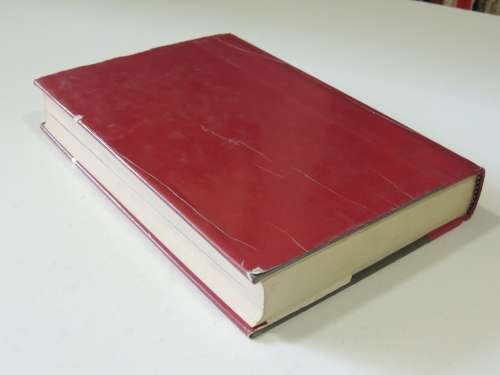 Allies - America, Europe And Japan Since The War - Richard J. Barnet