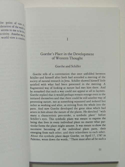 Goethe`s World View - Rudolf Steiner