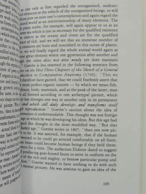 Goethe`s World View - Rudolf Steiner