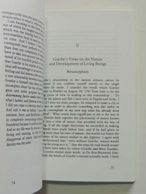 Goethe`s World View - Rudolf Steiner