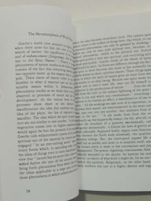 Goethe`s World View - Rudolf Steiner