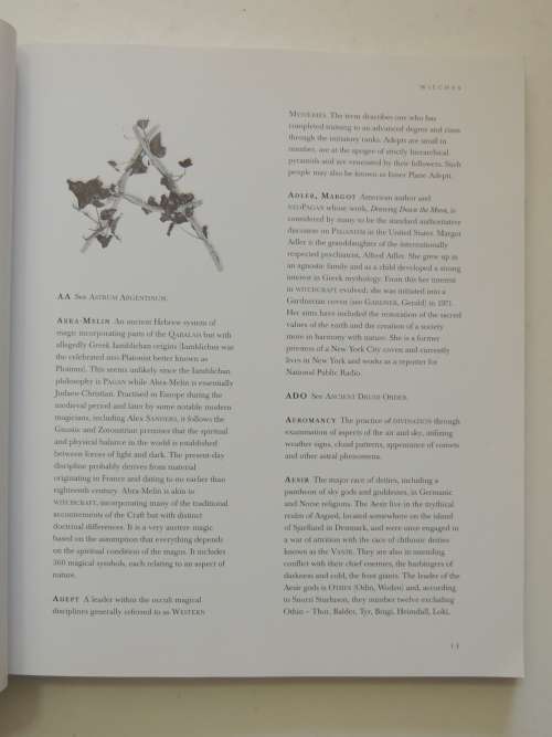 Witches - An Encyclopedia of Paganism and Magic - Michael Jordan