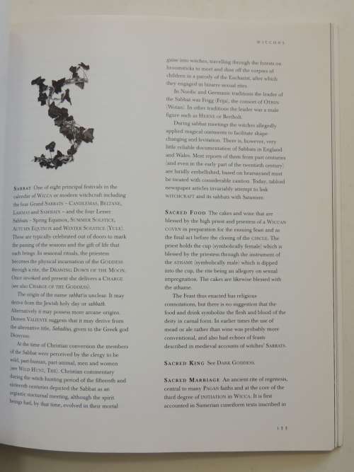 Witches - An Encyclopedia of Paganism and Magic - Michael Jordan