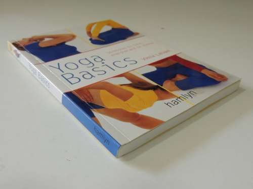 Yoga Basics - Stretches To Tone, Energize And De-stress - Vimla Lalvani