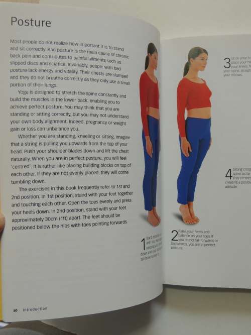 Yoga Basics - Stretches To Tone, Energize And De-stress - Vimla Lalvani