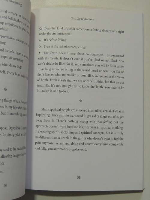 The Impact of Awakening - Excerpts from the Teachings of Adyashanti
