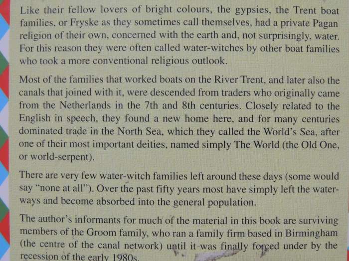 Water Witches - Tony Steele