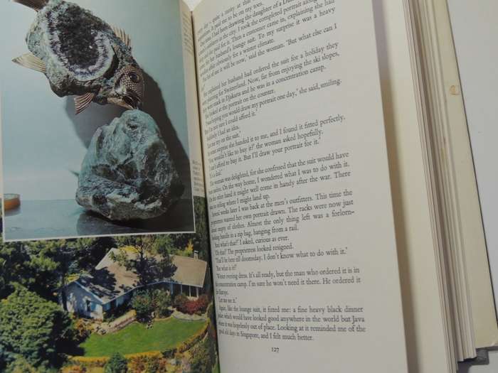 Pigeon`s Luck - Artist`s Life Story- Tretchikoff & Hocking