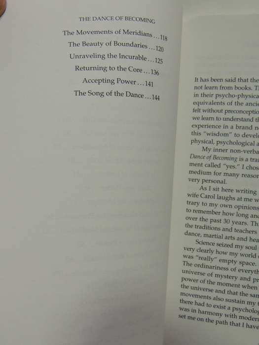 The Dance of Becoming, Living Life as a Martial Art- Stuart Heller
