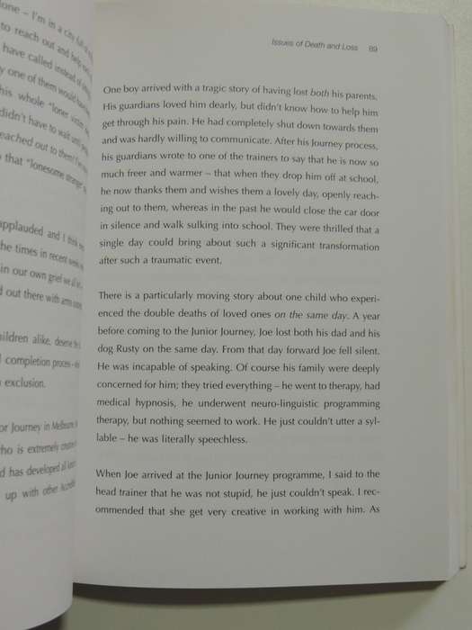 The Journey for Kids, Liberating Your Child`s Shining Potential- Brandon Bays