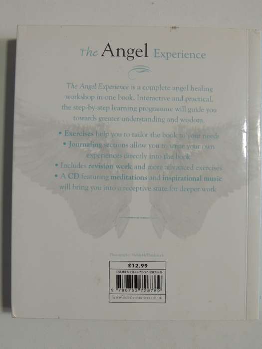 The Angel Experience - Your Complete Angel Workshop In A Book + CD - Hazel Raven