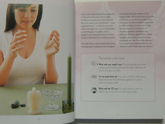 The Angel Experience - Your Complete Angel Workshop In A Book + CD - Hazel Raven