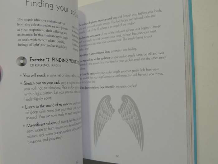 The Angel Experience - Your Complete Angel Workshop In A Book + CD - Hazel Raven