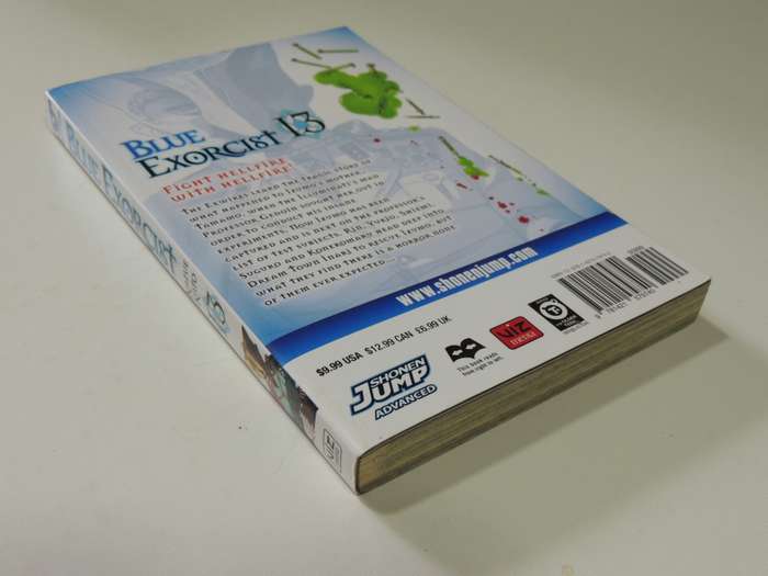 Blue Exorcist Vol 13 - Kazue Kato