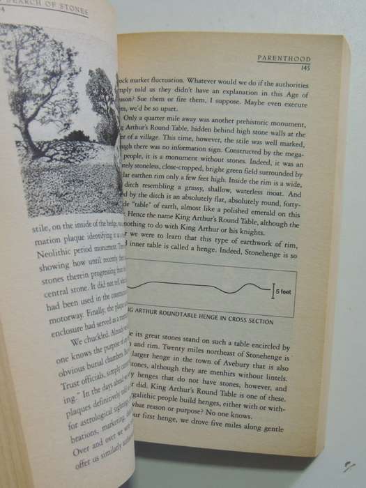 In Search Of Stones - A Pilgrimage Of Faith, Reason And Discovery - M. Scott Peck