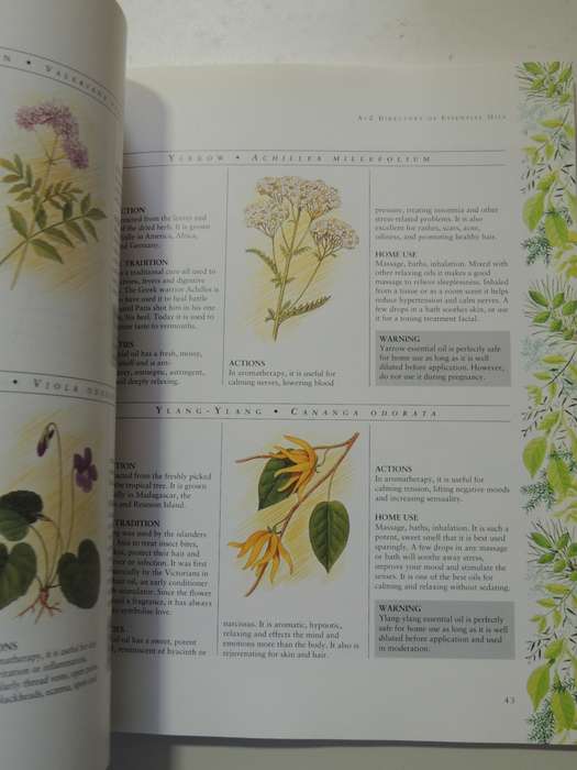 Practical Aromatherapy,Complete Beginner`s Guide To Choosing, Massaging &Relaxing ...- Penny Rich