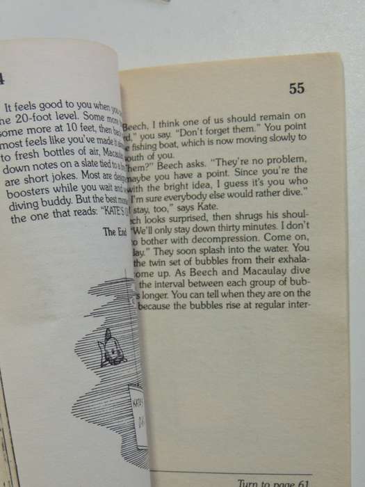 Treasure Diver - Choose Your Own Adventure 32 - Julius Goodman