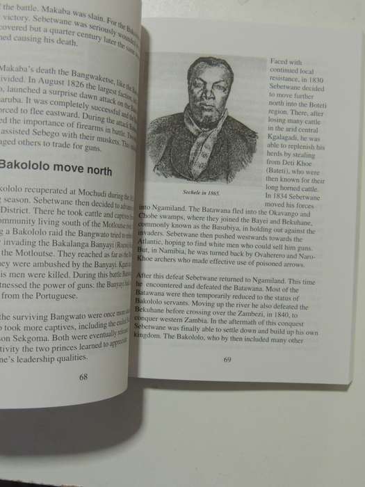 Building A Nation - A History Of Botswana From 1800 To 1910- J. Ramsay, B. Morton, T Mgadla