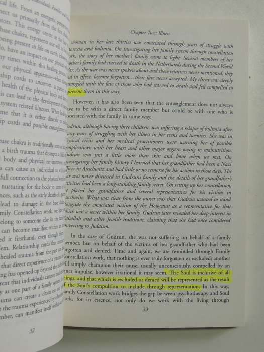 The Healing of Individuals, Families & Nations - John L Payne   SCARCE