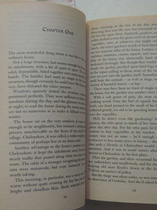 The Conqueror`s Shadow - Ari Marmell