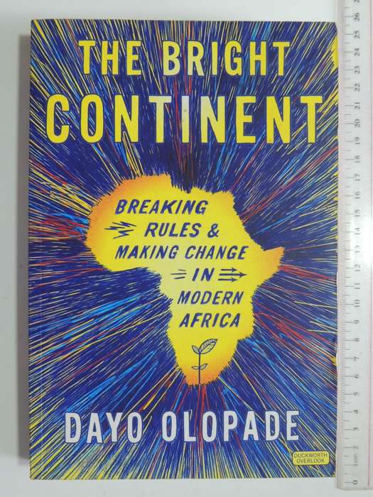 The Bright Continent - Breaking Rules & Making Change In Modern Africa - Dayo Olopade