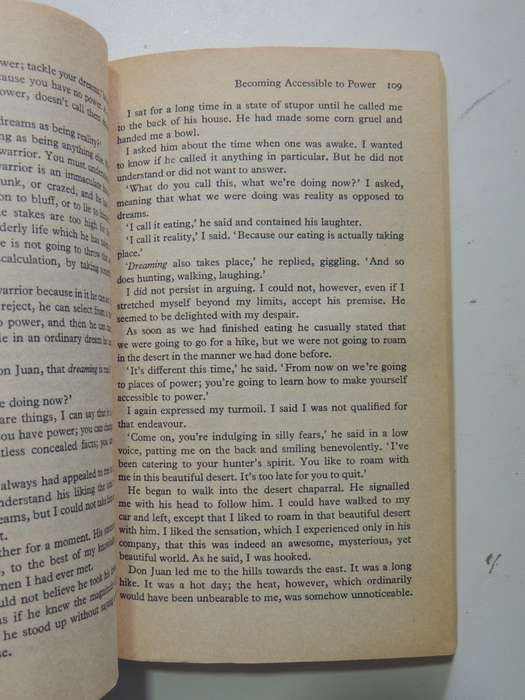 Journey To Ixtlan - The Lessons Of Don Juan - Carlos Castaneda