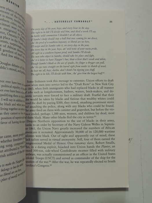 Hidden Heroism - Black Soldiers In America`s Wars - Robert B. Edgerton