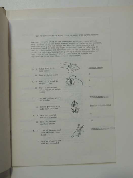 South African Frogs (No 45rpm Record)  N.I. Passmore & V.C. Carruthers