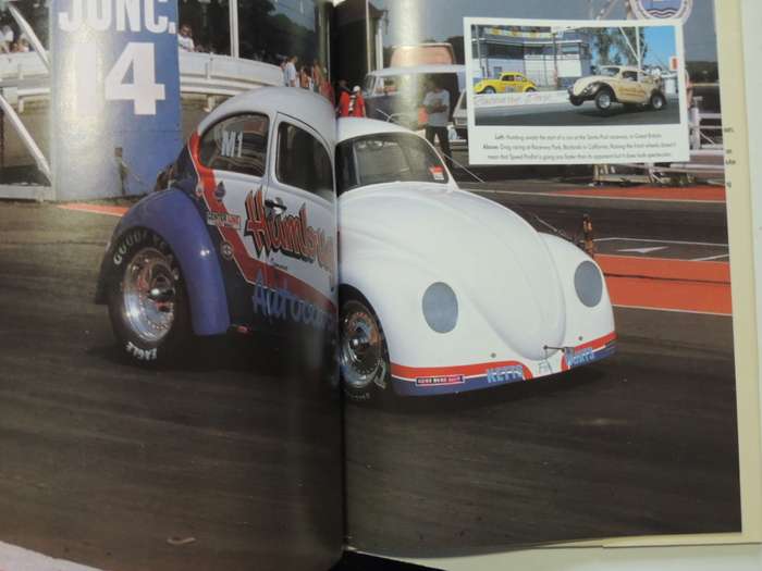 The VW Beetle -  A Celebration of the VW Bug  Christy Campbell