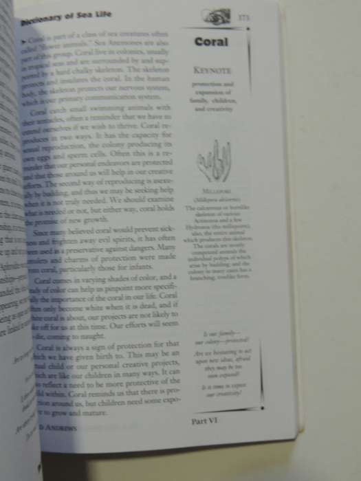 Animal - Wise - The Spirit Language And Signs Of Nature - Ted Andrews