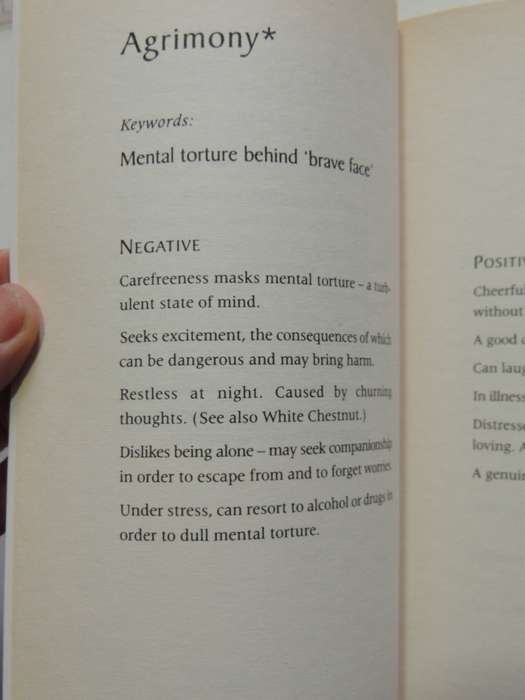 Dictionary Of The Bach Flower Remedies - Positive And Negative Aspects - T.W. Hyne Jones