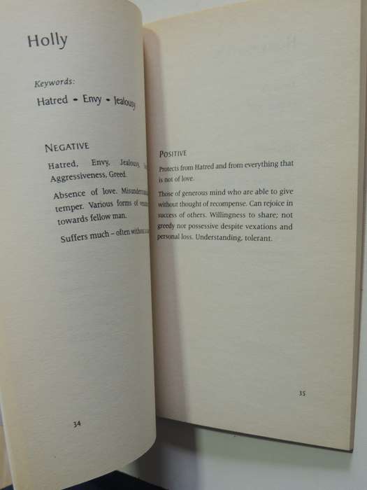 Dictionary Of The Bach Flower Remedies - Positive And Negative Aspects - T.W. Hyne Jones