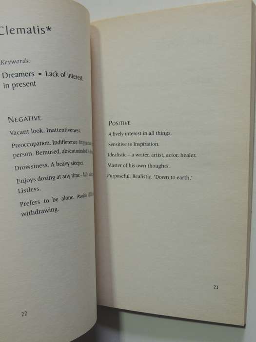Dictionary Of The Bach Flower Remedies - Positive And Negative Aspects - T.W. Hyne Jones