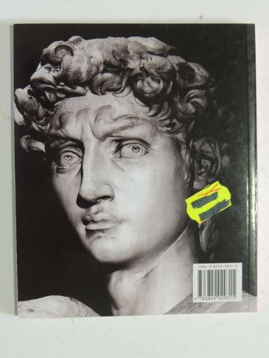 Art In Hand - Michelangelo - Alexandra Gromling