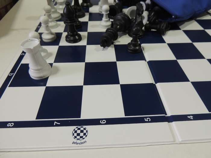 Chess Set & Book: `Up Your Game With The Power of Chess` PLUS Chess Set -      Book by Clyde Wolpe