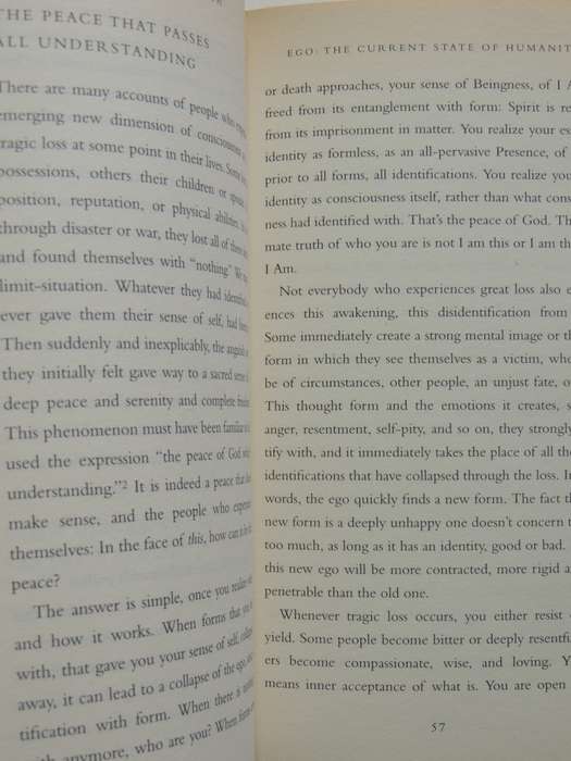 A New Earth - Awakening To Your Life`s Purpose - Eckhart Tolle