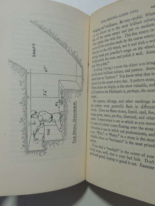 Prospecting For Gold:From Dish To Hydraulic Plant, From Dolly To Stamper Battery, Ion L Idriess 1936