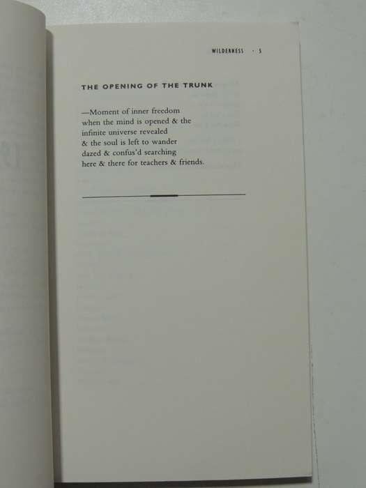 Wilderness - The Lost Writings Of Jim Morrison - Jim Morrison